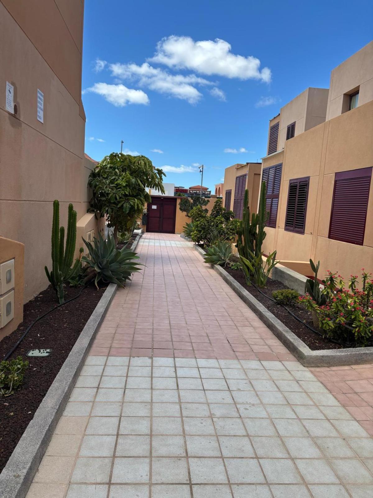 Elisabeth Apartmant Caleta De Fuste Εξωτερικό φωτογραφία
